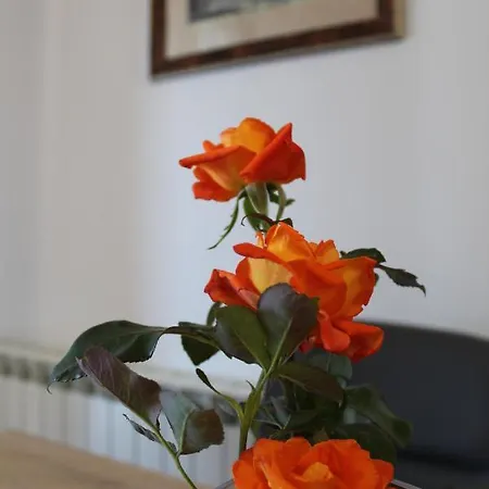 Dekovic * Poreč