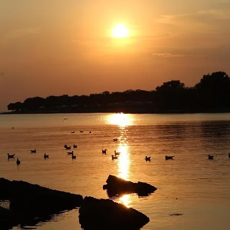 Dekovic Porec
