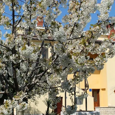 Dekovic Porec