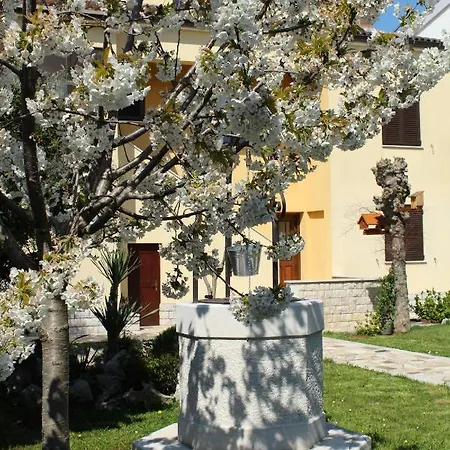 Dekovic Apartamento